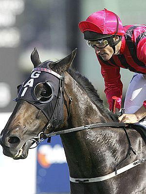 caulfield stakes odds