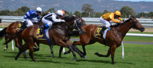 Sandown Guineas