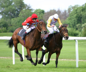 WA Champion Fillies Stakes, Ascot Racecourse