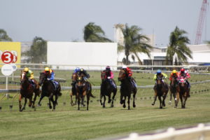 Vo Rogue Plate, Doomben Racecourse