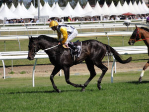 Futurity Stakes, Caulfield Racecourse