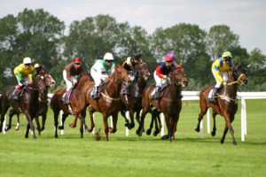 Breeders Classic, Warwick Farm