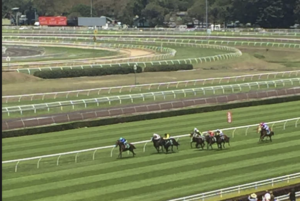 Black Opal Stakes, Canberra Racecourse