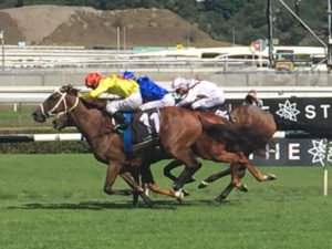 Challenge Stakes, Randwick