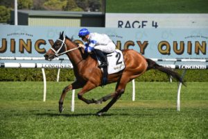 Queensland Guineas Winners: Kolding (Photo Steve Hart) | Neds.com.au
