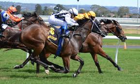 National Stakes, Morphetville