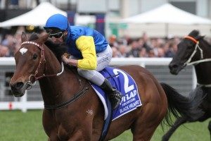 P B Lawrence Stakes, Caulfield
