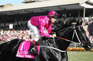 Queensland Cup, Eagle Farm