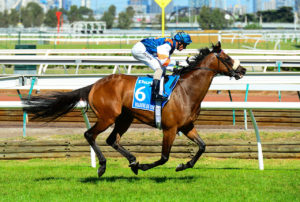 VRC-CRV Winter Championship Series Final, Flemington
