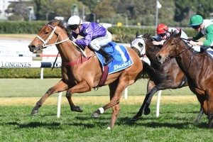 Furious Stakes, Randwick Racecourse