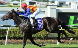 Tramway Stakes, Randwick Racecourse