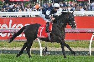 JRA Cup, Moonee Valley