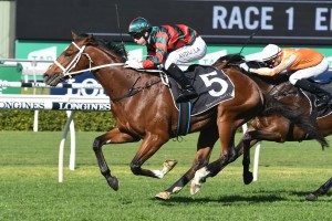 Stutt Stakes, Moonee Valley