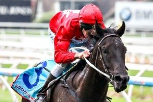 1300 Australia Stakes, Moonee Valley