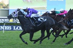 Tristarc Stakes, Caulfield