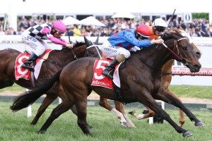 AJ Scahill Stakes, Ascot Racecourse