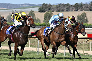 RJ Peters Stakes, Ascot Racecourse
