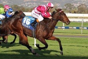 Ted Van Heemst Stakes, Ascot Racecourse