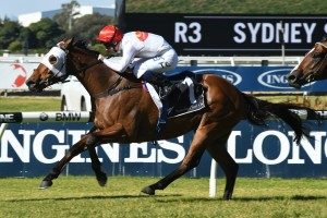 Epona Stakes, Rosehill Gardens Racecourse