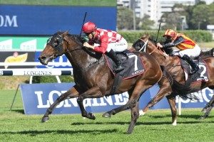 Typhoon Tracy Stakes, Moonee Valley Racecourse
