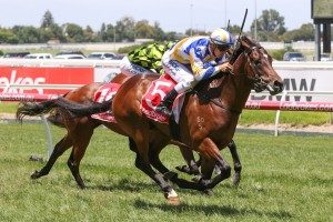 Zeditave Stakes, Caulfield Racecourse