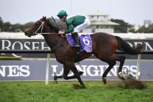 San Domenico Stakes Winners & History (Photo: Steve Hart). Neds.com.au