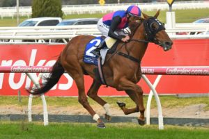 Roma Cup Winner Vega Magic (2020) | Photo: Ultimate Racing Photos | Neds.com.au