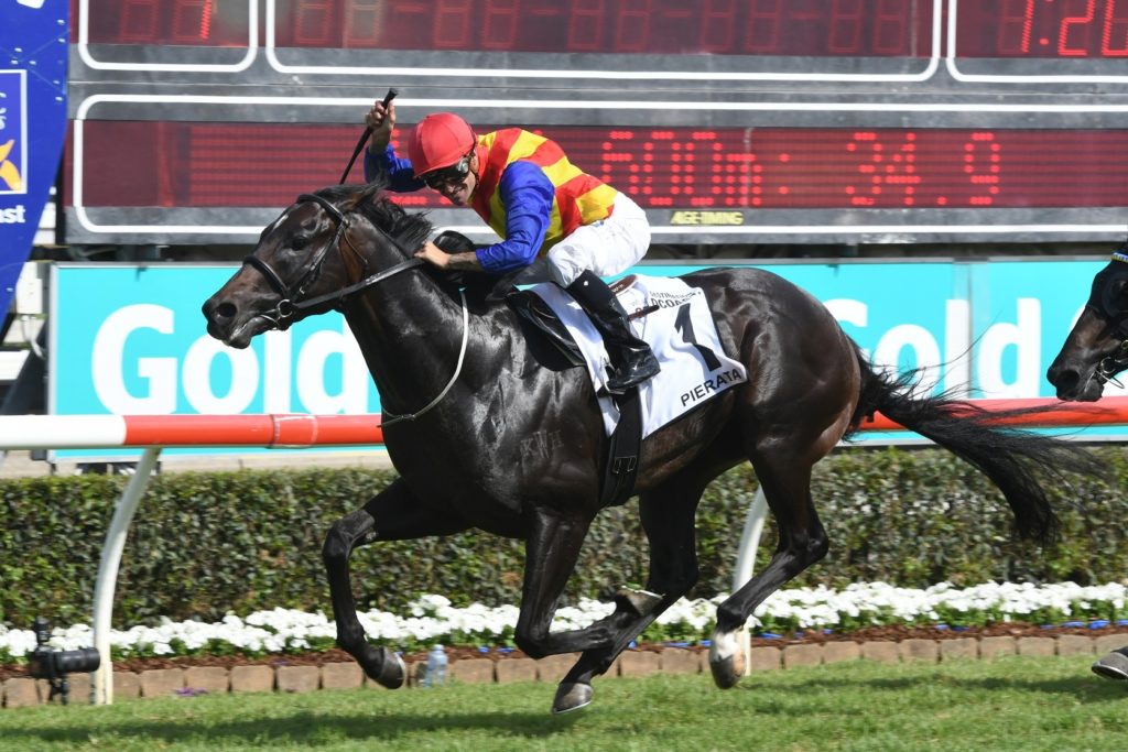 Magic Millions 3YO Guineas 2023 Betting Neds