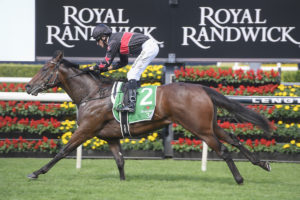 Away Game Horse Form (Photo: Steve Hart) | Neds.com.au