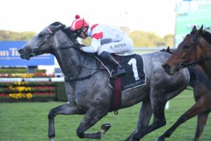 Classique Legend Horse Form (Photo: Steve Hart) | Neds.com.au
