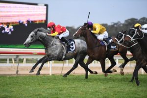 Wyong Gold Cup Winners (Paths Of Glory, 2020) | Photo: Steve Hart | Neds.com.au