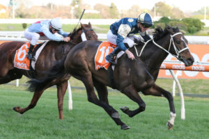 Sierra Sue 2020 Rose Of Kingston Stakes Winner 