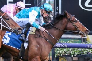 2022 Let's Elope Stakes winner Kissonallforcheeks