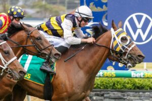 2023 Geelong Cup winner Amade