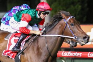 2022 WA Guineas winner Amelia's Jewel