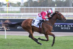 2018 WA Champion Fillies Stakes winner Arcadia Queen