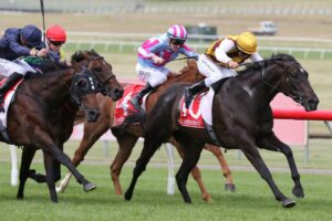 2019 Sandown Guineas Winner Pretty Brazen