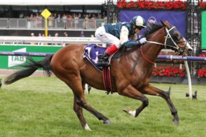 2022 Queen's Cup winner Soulcombe 
