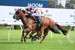 2021 Villiers Stakes Winner Brutality