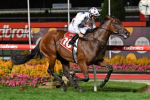 William Reid Stakes Winners - Sunlight | Photo: Ultimate Racing Photos | Neds