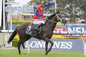 Tancred Stakes Winners - Verry Elleegant | Photo: Steve Hart | Neds