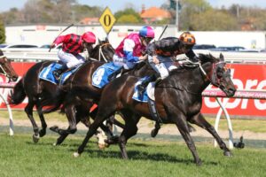 2018 Launceston Cup Winner Bondeiger