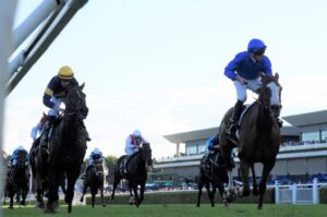2022 All Aged Stakes winner Cascadian
