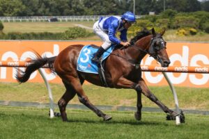 2022 Caulfield Autumn Classic winner Castlereagh Kid. Photo: Ultimate Racing Photos.