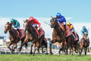2022 Blue Diamond Stakes Winner Daumier