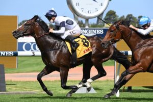 2022 Expressway Stakes Winner Overpass