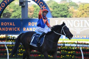 2022 Queen Elizabeth Stakes winner Think It Over
