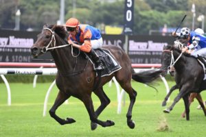 2022 Apollo Stakes Winner Think It Over