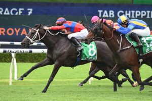 2022 Chipping Norton Stakes Winner Verry Elleegant