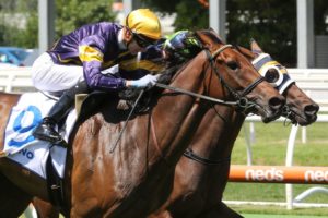 Mornington Cup Winners - Aktau (Photo: Ultimate Racing Photos) | Neds